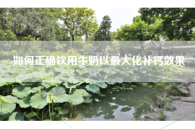如何正确饮用牛奶以最大化补钙效果