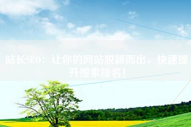 站长SEO：让你的网站脱颖而出，快速提升搜索排名！
