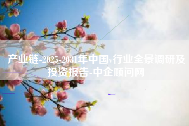 产业链-2025-2031年中国v行业全景调研及投资报告-中企顾问网