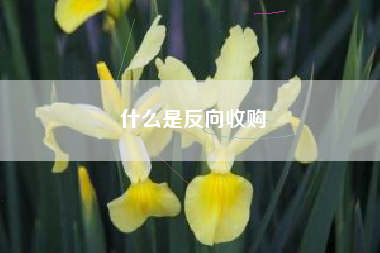 什么是反向收购