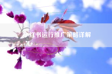 小红书运行推广策略详解