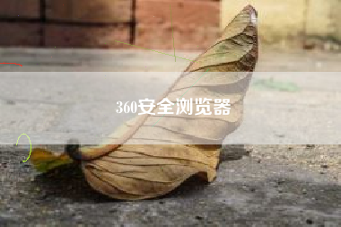 360安全浏览器