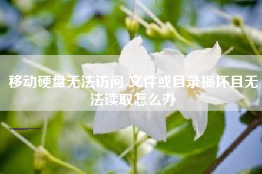 移动硬盘无法访问 文件或目录损坏且无法读取怎么办 移动硬盘无法访问 文件或目录损坏且无法读取怎么办
