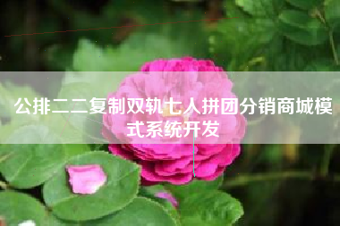 公排二二复制双轨七人拼团分销商城模式系统开发