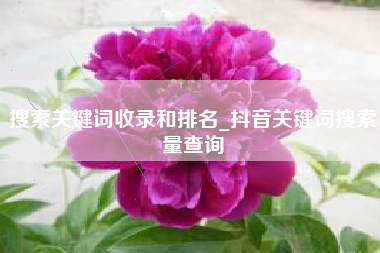 搜索关键词收录和排名_抖音关键词搜索量查询