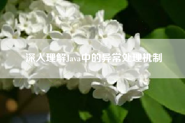 深入理解Java中的异常处理机制
