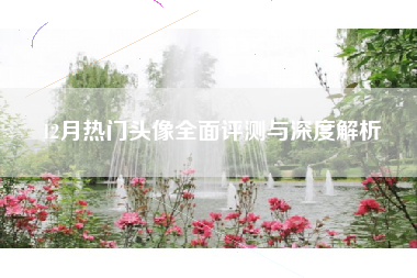 12月热门头像全面评测与深度解析