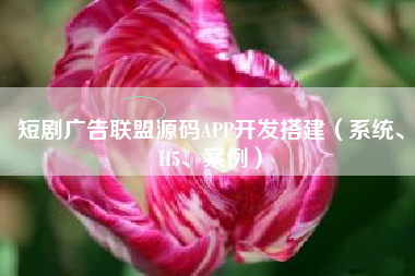 短剧广告联盟源码APP开发搭建（系统、H5、案例）