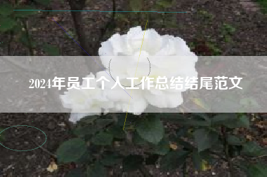 2024年员工个人工作总结结尾范文