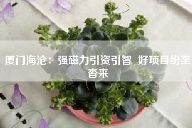 厦门海沧：强磁力引资引智  好项目纷至沓来