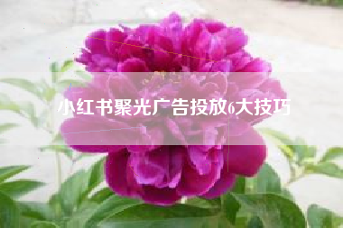 小红书聚光广告投放6大技巧 小红书聚光广告投放6大技巧