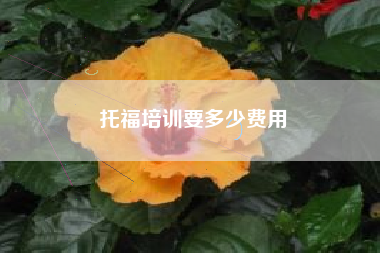 托福培训要多少费用