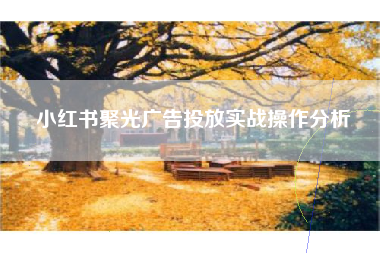 小红书聚光广告投放实战操作分析