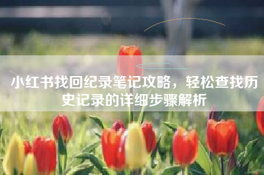 小红书找回纪录笔记攻略，轻松查找历史记录的详细步骤解析