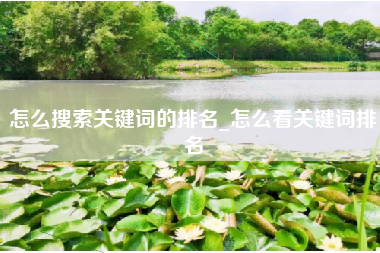 怎么搜索关键词的排名_怎么看关键词排名