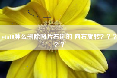 win10肿么删除图片右键的 向右旋转？？？？？