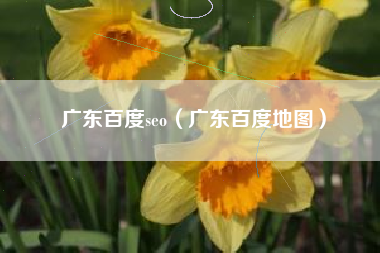 广东百度seo（广东百度地图）