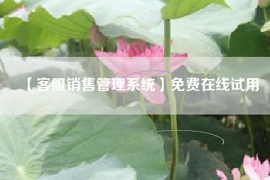 【客服销售管理系统】免费在线试用