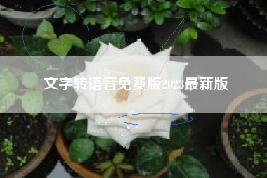 文字转语音免费版2023最新版