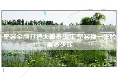 整容全脸打造大概多少钱 整容换一张脸要多少钱