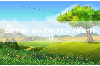 真假开源：开源大模型的实际开放性探讨