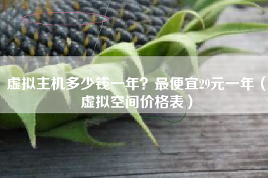 虚拟主机多少钱一年？最便宜29元一年（虚拟空间价格表）