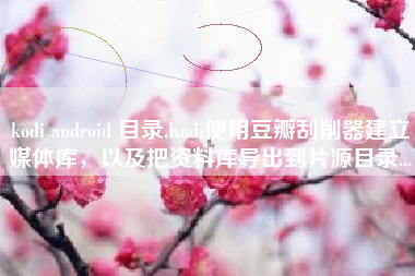 kodi android 目录,Kodi使用豆瓣刮削器建立媒体库，以及把资料库导出到片源目录...