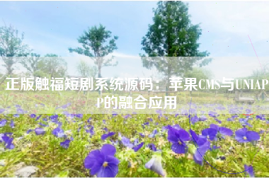 正版触福短剧系统源码：苹果CMS与UNIAPP的融合应用