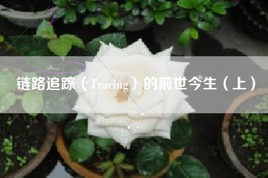 链路追踪（Tracing）的前世今生（上）