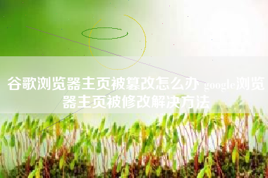 谷歌浏览器主页被篡改怎么办 google浏览器主页被修改解决方法