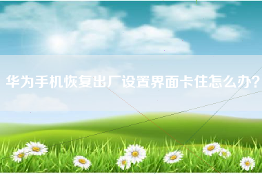 华为手机恢复出厂设置界面卡住怎么办? 华为手机恢复出厂设置界面卡住怎么办?