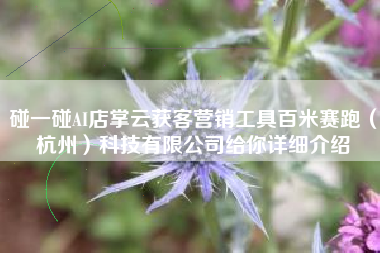 碰一碰AI店掌云获客营销工具百米赛跑（杭州）科技有限公司给你详细介绍