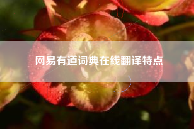 网易有道词典在线翻译特点