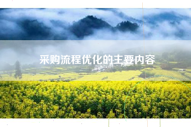 采购流程优化的主要内容
