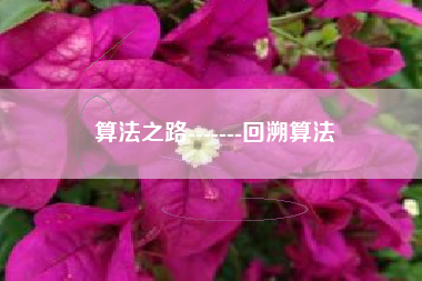算法之路-------回溯算法