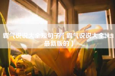 霸气说说大全短句子【霸气说说大全2021最新版的】