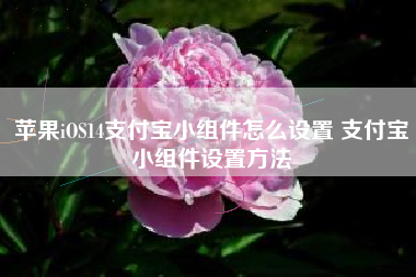 苹果iOS14支付宝小组件怎么设置 支付宝小组件设置方法