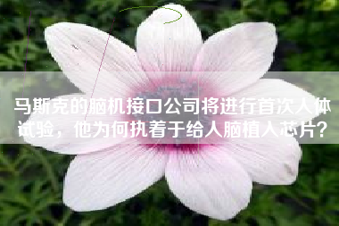 马斯克的脑机接口公司将进行首次人体试验，他为何执着于给人脑植入芯片？