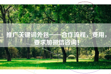 推广关键词外包——合作流程，费用，要求加微信咨询！