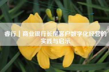 睿行｜商业银行长尾客户数字化经营的实践与启示