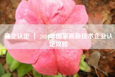 高企认定 ｜ 2024年国家高新技术企业认定攻略