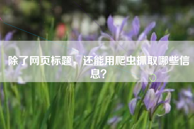 除了网页标题，还能用爬虫抓取哪些信息？