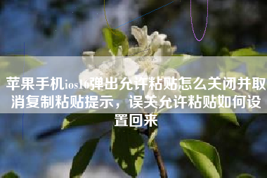苹果手机ios16弹出允许粘贴怎么关闭并取消复制粘贴提示，误关允许粘贴如何设置回来