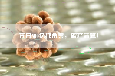 昔日500亿独角兽，破产清算！