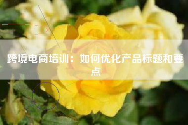 跨境电商培训：如何优化产品标题和要点