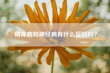精神病和神经病有什么区别吗？