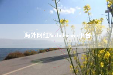海外网红NoxInfluencer平台