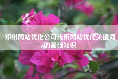 郑州网站优化公司浅析网站优化关键词的基础知识