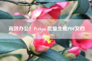 高效办公！Python 批量生成PDF文档