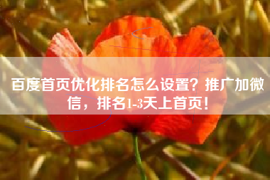 百度首页优化排名怎么设置？推广加微信，排名1-3天上首页！